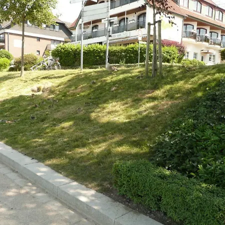 Apartment Frei Zur Sonne Mit Dachterrasse *